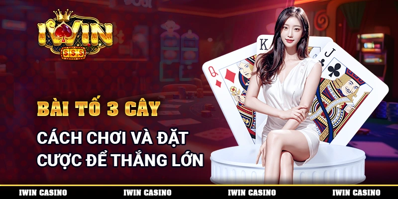 Bài Tố 3 Cây - Cách Chơi Và Đặt Cược Để Thắng Lớn Mỗi Ngày